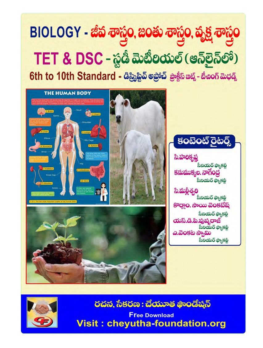 Publication